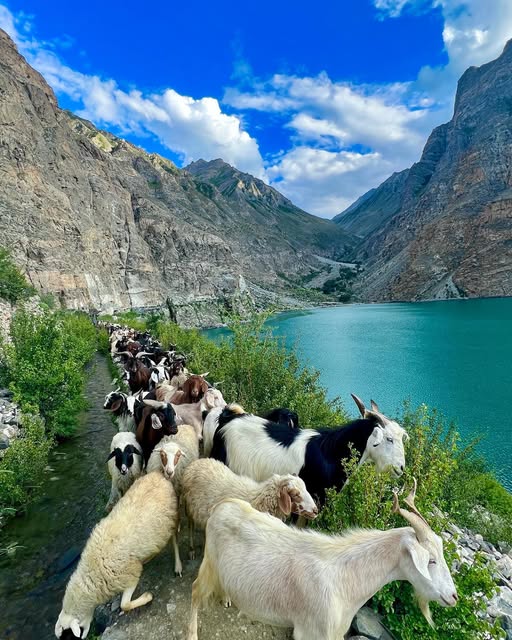 Machulu Cones & Kharfaq Lake (Ghanche)
