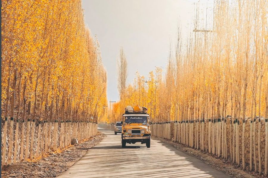10-Days-Hunza-Skardu-Deosai By Air