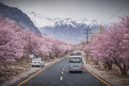 🍂 Autumn in Skardu – A Golden Paradise in Gilgit-Baltistan